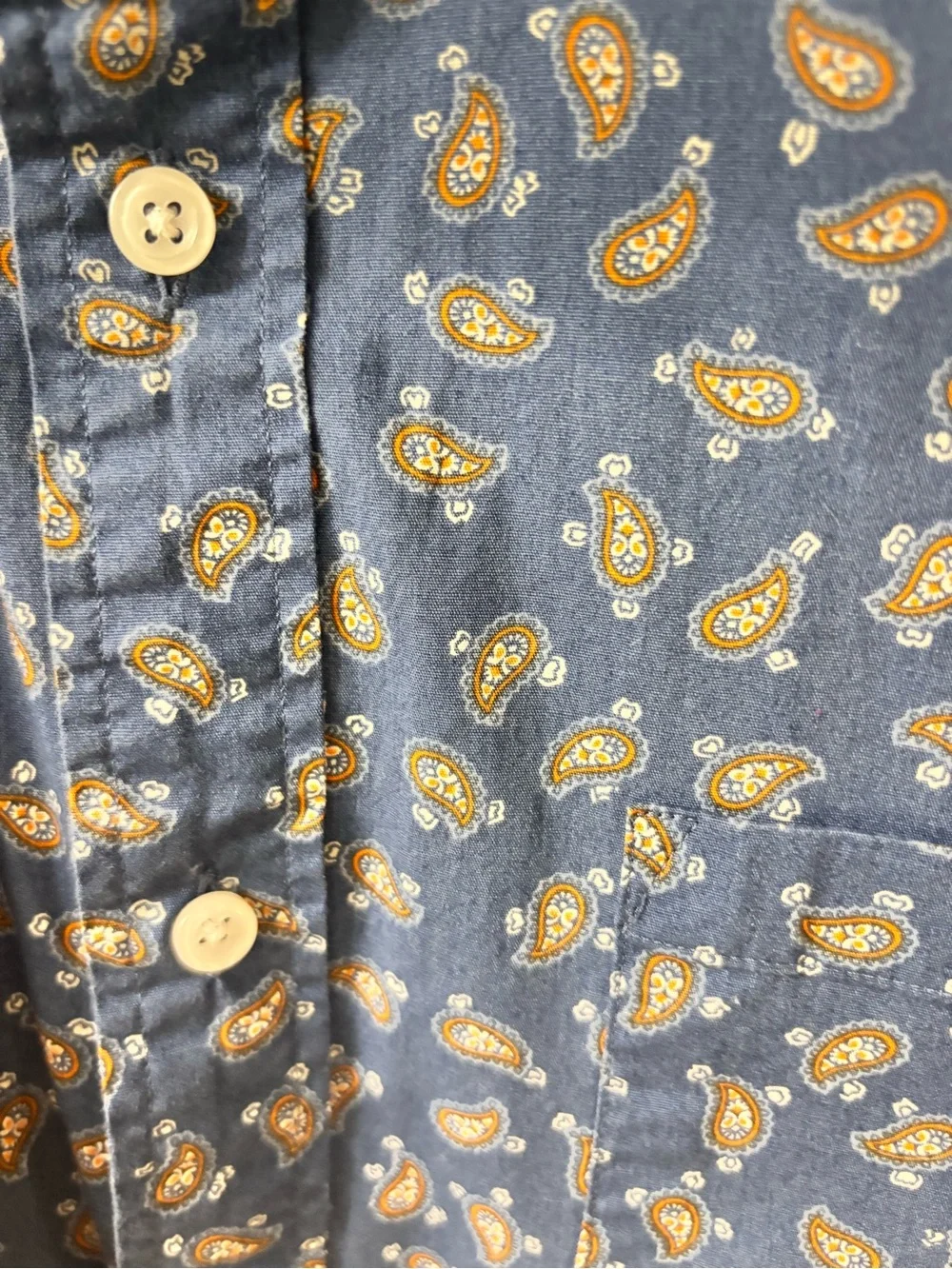 J. Crew Blue Paisley Print Button-Down Shirt